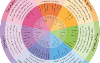 Model complet de la roda de les drogues
