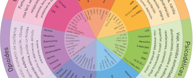 Model complet de la roda de les drogues